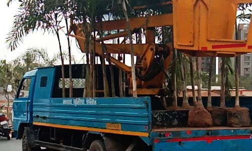 जनज्वार EXCLUSIVE : अहमदबाद में लगाए गए पेड़ों को ट्रंप के जाने के बाद उजाड़ रहा नगर निगम