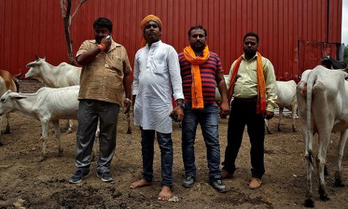 गोहत्या पर पाबंदी से पशु बाजारों में भारी गिरावट, किसानों को खेती की आय का बड़ा नुकसान गोहत्या पर पाबंदी से पशु बाजारों में भारी गिरावट, किसानों को खेती की आय का बड़ा नुकसान