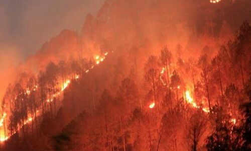 बढ़ते तापमान में और धधकेंगे पहाड़, हाईकोर्ट के आदेशों से अफसर हलकान बढ़ते तापमान में और धधकेंगे पहाड़, हाईकोर्ट के आदेशों से अफसर हलकान