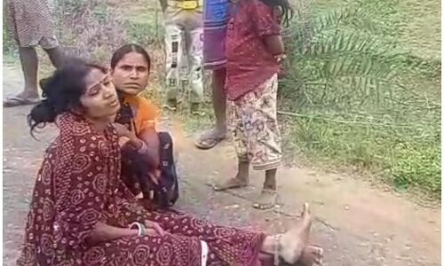 गया के क्वारंटाइन सेंटर में सो रहे बच्चे को जहरीले सांप ने डसा, मासूम की मौत गया के क्वारंटाइन सेंटर में सो रहे बच्चे को जहरीले सांप ने डसा, मासूम की मौत