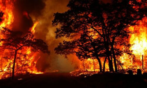 मौसम विभाग ने चेताया उत्तराखण्ड सरकार को, वनाग्नि रोकने का करे पर्याप्त इंतजाम मौसम विभाग ने चेताया उत्तराखण्ड सरकार को, वनाग्नि रोकने का करे पर्याप्त इंतजाम