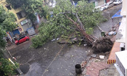 अम्फान ने मचाई भीषण तबाही, भारत और बांग्लादेश में 19 लोगों की मौत, हर तरफ तबाही का मंजर अम्फान ने मचाई भीषण तबाही, भारत और बांग्लादेश में 19 लोगों की मौत, हर तरफ तबाही का मंजर