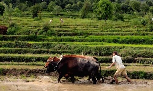केंद्र सरकार ने दिए दिशा-निर्देश, 20 अप्रैल से लॉकडाउन में इन उद्योगों में उत्पादन कार्य होगा शुरू केंद्र सरकार ने दिए दिशा-निर्देश, 20 अप्रैल से लॉकडाउन में इन उद्योगों में उत्पादन कार्य होगा शुरू