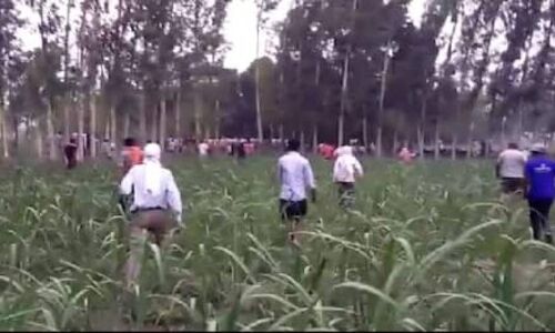 Yogi के एमएलए को अयोध्या में ग्रामीणों ने गन्ने के खेत में दौड़ाया, किसी तरह जान बचाकर भागे विधायक जी