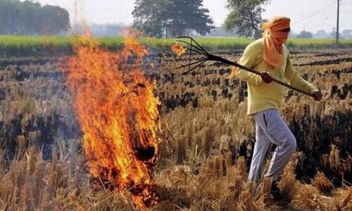 पराली जागरूकता अभियान के नाम पर 4 महीनों में लड्डू, समोसों पर खर्च किए 40 लाख रुपए
