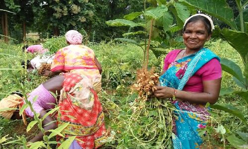 जलवायु परिवर्तन से महिलायें होती हैं अधिक प्रभावित