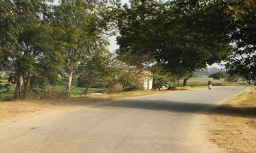 आगरा में ग्रामीण अभियंत्रण विभाग ने 50 लाख रुपये में बनाई 6 सड़कें, रातोंरात हो गयीं गायब!