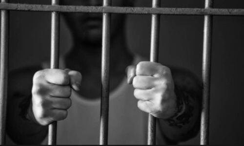 यकीन मानिए नीदरलैंड में नहीं है एक भी कैदी, जेलें पड़ी हैं खाली