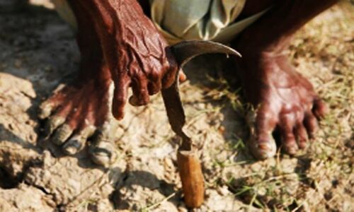 बुंदेलखंड : फसल कटाई के लिए मजदूर न मिलने पर किसान ने लगाई फांसी