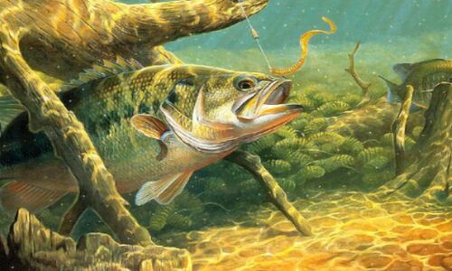 26 हजार से भी ज्यादा जीव प्रजातियों पर मंडरा रहा है विलुप्तीकरण का खतरा 26 हजार से भी ज्यादा जीव प्रजातियों पर मंडरा रहा है विलुप्तीकरण का खतरा