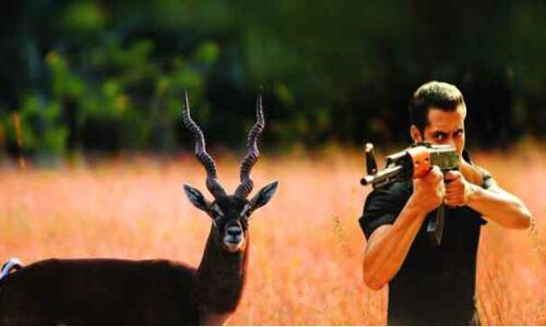 सलमान खान और छल्लू राम दोनों ने मारा काला हिरण, फिर छल्लू को सजा ज्यादा क्यों?