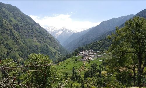 उत्तराखण्ड में बन गया यह कानून तो वहां के जंगल और जमीन पर हो जाएगा माफियाओं का राज?