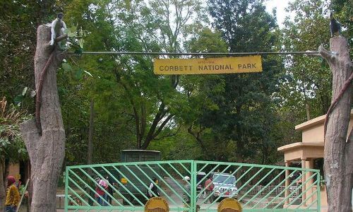 उत्तराखंड में वन्य जीवों पर कोरोना वायरस के खतरे का अलर्ट जारी