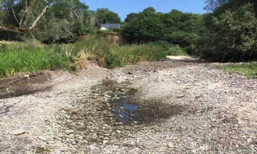 एक तरफ बर्बाद बस्तियाँ एक तरफ हो तुम