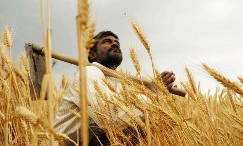 योगीराज : फतेहपुर में खेत में पराली जलाने पर 60 से अधिक किसानों पर दर्ज हुआ मुकदमा