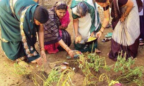 भैयादूज पर यहां बहनें श्रापती हैं भाइयों को और पूजती हैं कांटों से