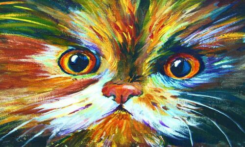 बिल्ली की माया