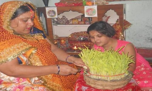 पर्यावरण संरक्षण का त्योहार है हरेला