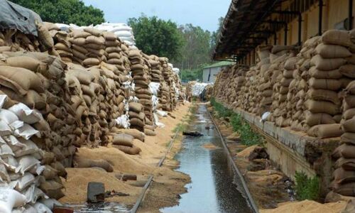 उस देश में भूख से मौत, जहां हर साल बर्बाद होता है 670 लाख टन भोजन