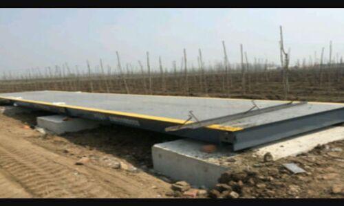 वन विकास निगम की दीमकें