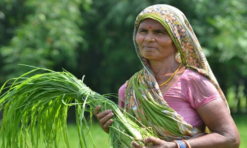 कभी किसान बहनों की भी सुध ले लीजिए सरकार
