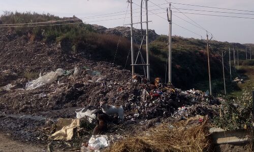 झारखंड चुनाव 2019 : रांची के झिरी इलाके को बनाया डंपिंग जोन, दिन में भी मच्छरदानी लगाने को मजबूर ग्रामीण