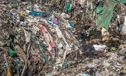 मीथेन कॉन्सेंट्रेशन में दर्ज की गई रिकॉर्ड बढ़ोतरी, WMO REPORT Methane Concentration से हुआ खुलासा मीथेन कॉन्सेंट्रेशन में दर्ज की गई रिकॉर्ड बढ़ोतरी, WMO REPORT Methane Concentration से हुआ खुलासा