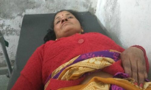 एलीफेंट कारीडोर में चारा लेने गई महिला पर हाथी ​ने किया जानलेवा हमला