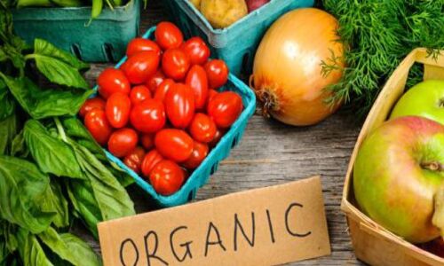 पर्यावरणीय असंतुलन के लिए ऑर्गेनिक फूड भी कम जिम्मेदार नहीं