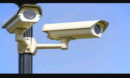 वन निगम एक ही शर्त, ठेका उसी कंपनी को जो अधिकारी के मन को भाए