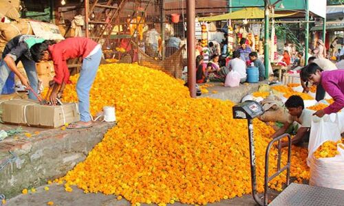 लॉकडाउन से उत्तराखंड में फूलों के उद्योगों को भारी नुकसान, फूलों को कचरे के रूप में डंप कर रहे उत्पादक