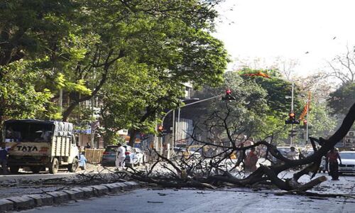 Defence Expo 2020 के लिए लखनऊ में गोमती किनारे के 64,000 पेड़ों की ली जायेगी बलि