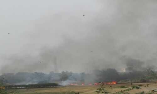 प्रदूषण नियंत्रण बोर्डों के पास नहीं है वायु प्रदूषण के निवारण की कोई योजना